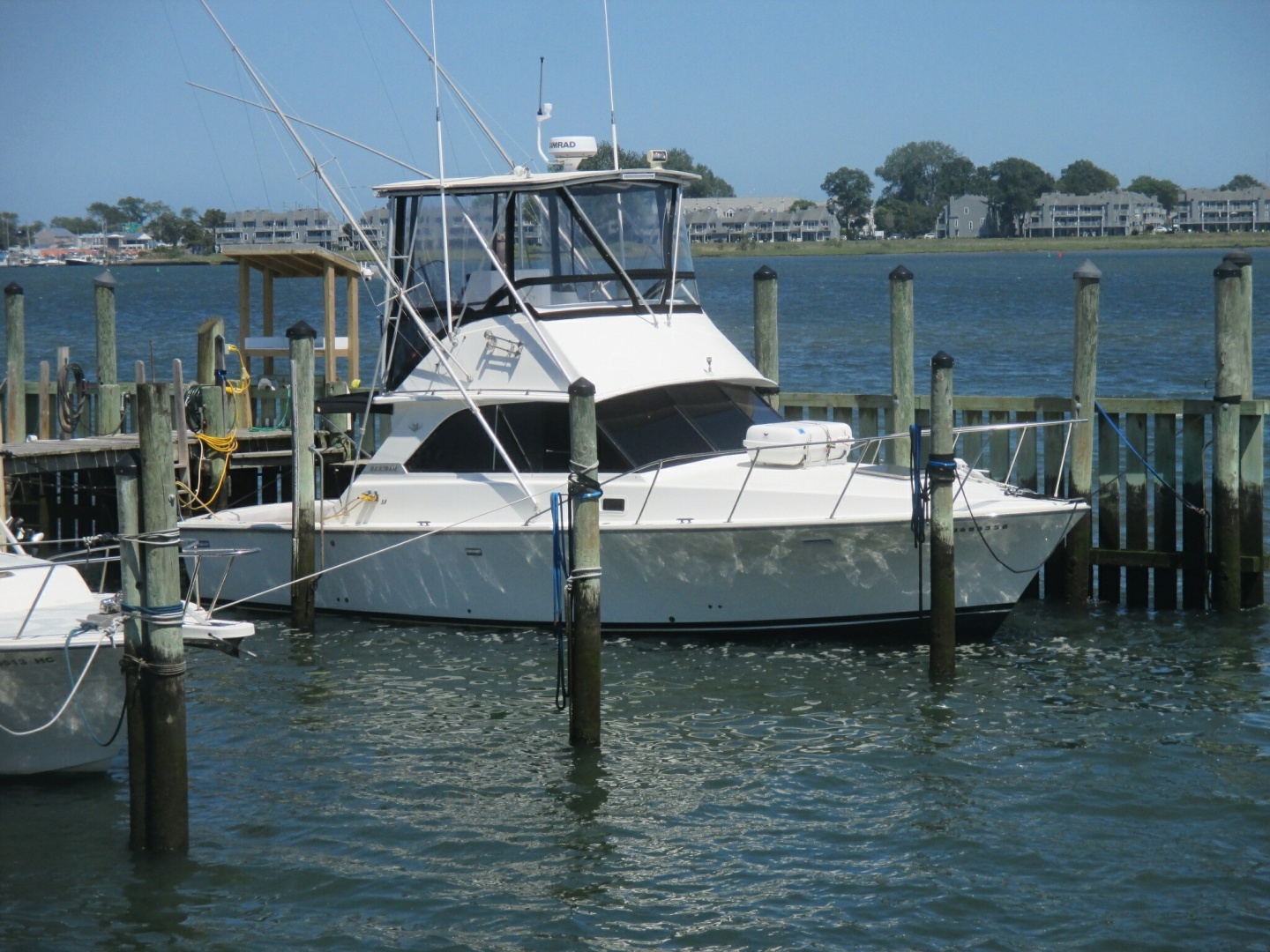 Bertram-35 Convertible 1984-Night Moves Neptune-New Jersey-United States-6259394 | Thumbnail