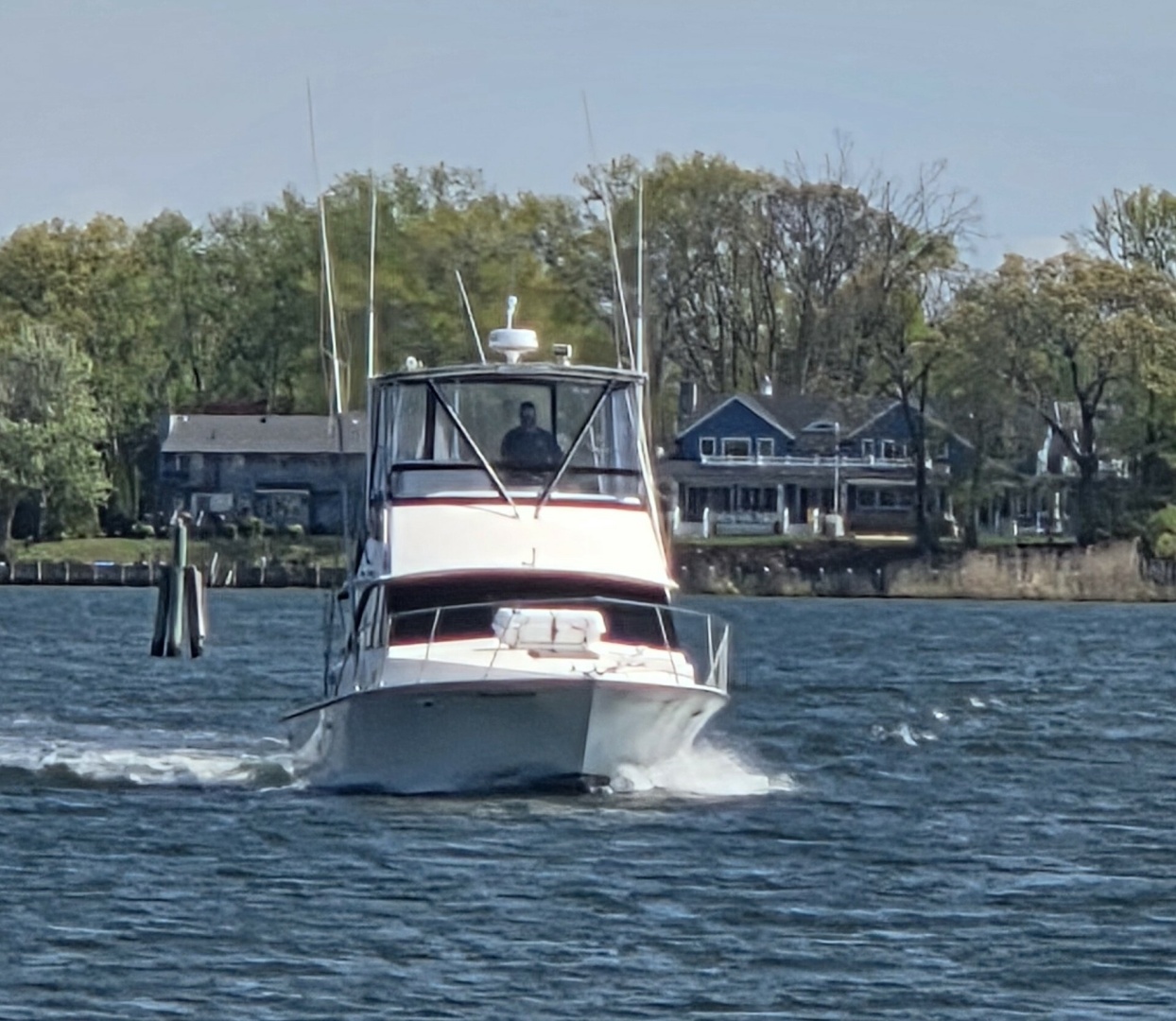 Bertram-35 Convertible 1984-Night Moves Neptune-New Jersey-United States-6259351 | Thumbnail