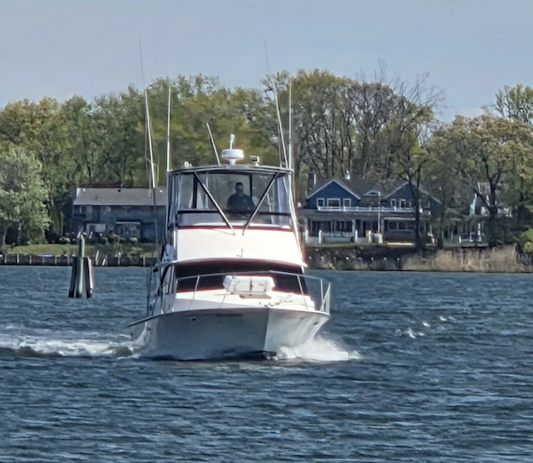Bertram-35 Convertible 1984-Night Moves Neptune-New Jersey-United States-6259351