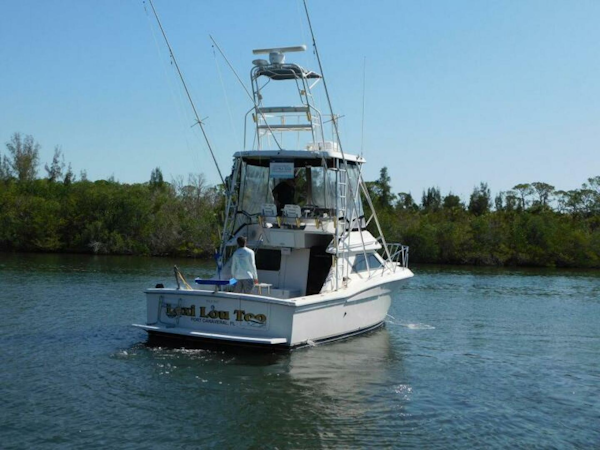 Wellcraft-Sport Bridge 3300 1991 -Cocoa Beach-Florida-United States-6259430