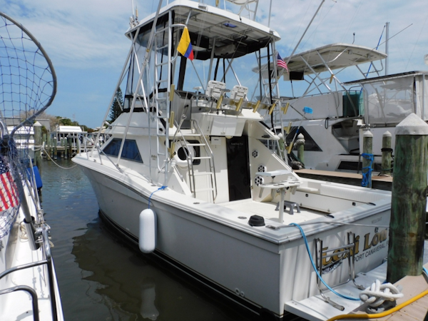 Wellcraft-Sport Bridge 3300 1991 -Cocoa Beach-Florida-United States-6259527