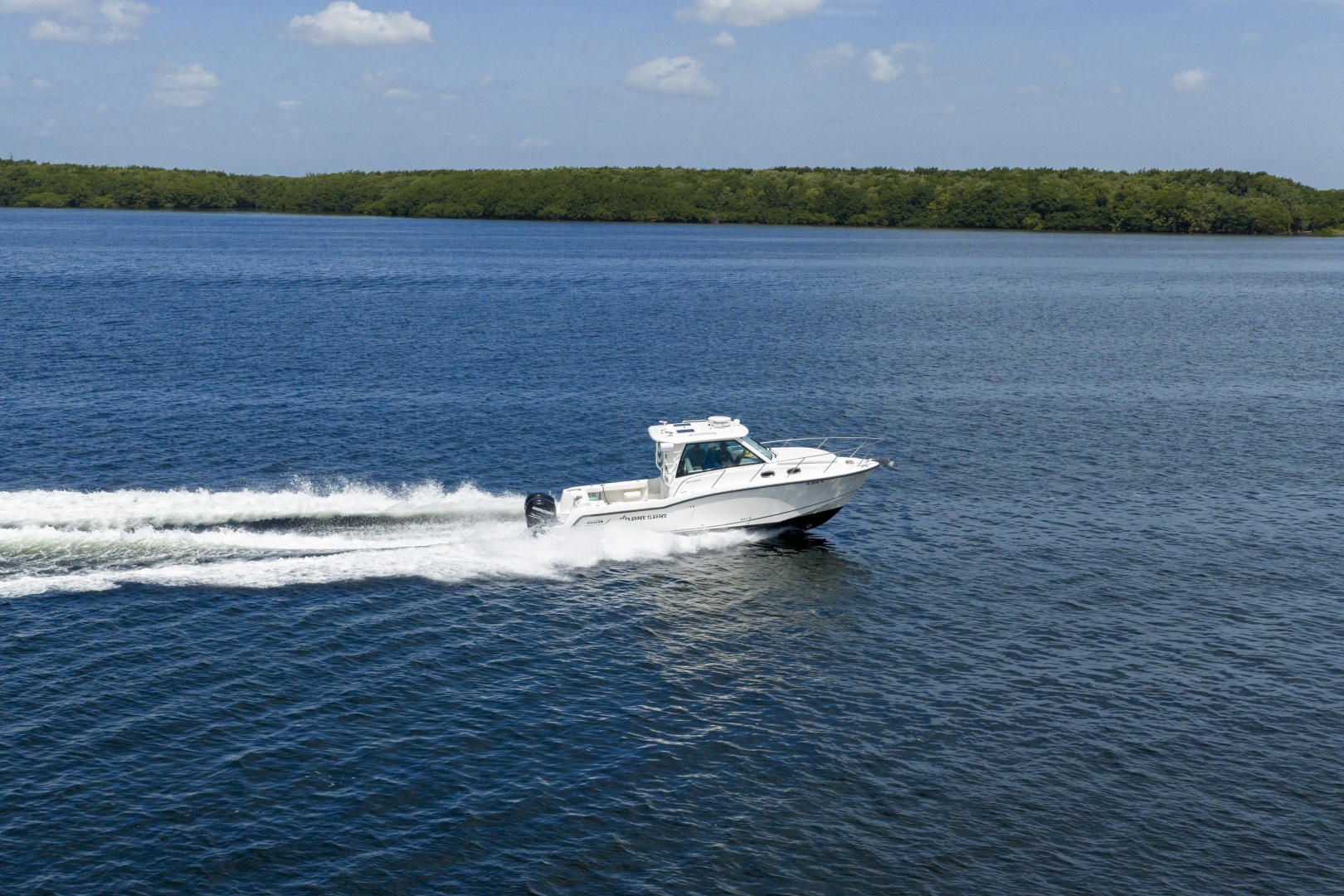 Boston Whaler-315 Conquest 2014 -Miami-Florida-United States-6259779 | Thumbnail