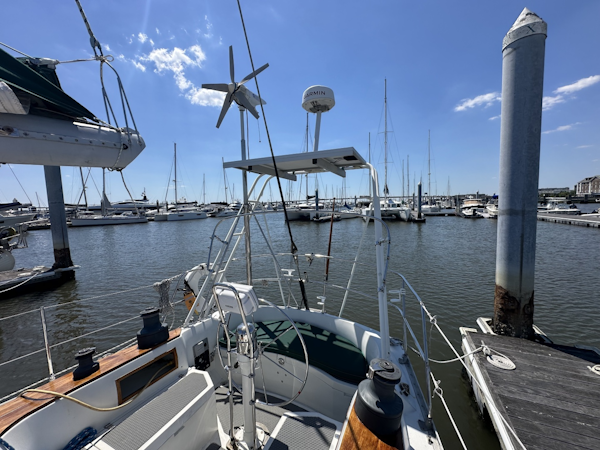 Nordic-44 1983-Seraphina Charleston-South Carolina-United States-6260959