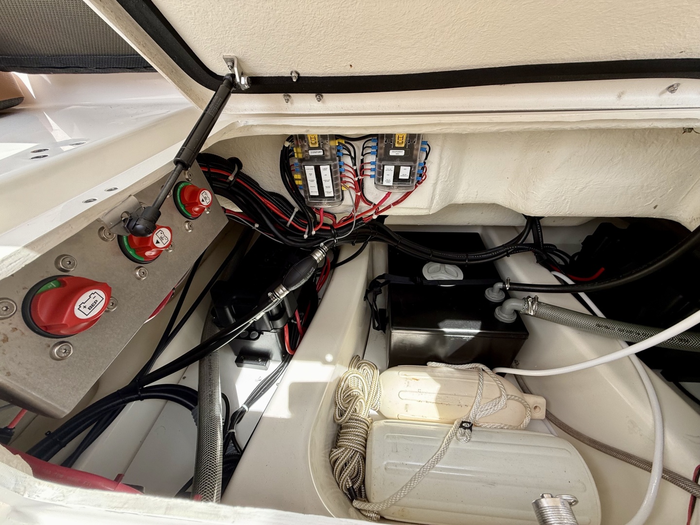 Zodiac-Medline 9 2024 -Mystic-Connecticut-United States-6262775 | Thumbnail