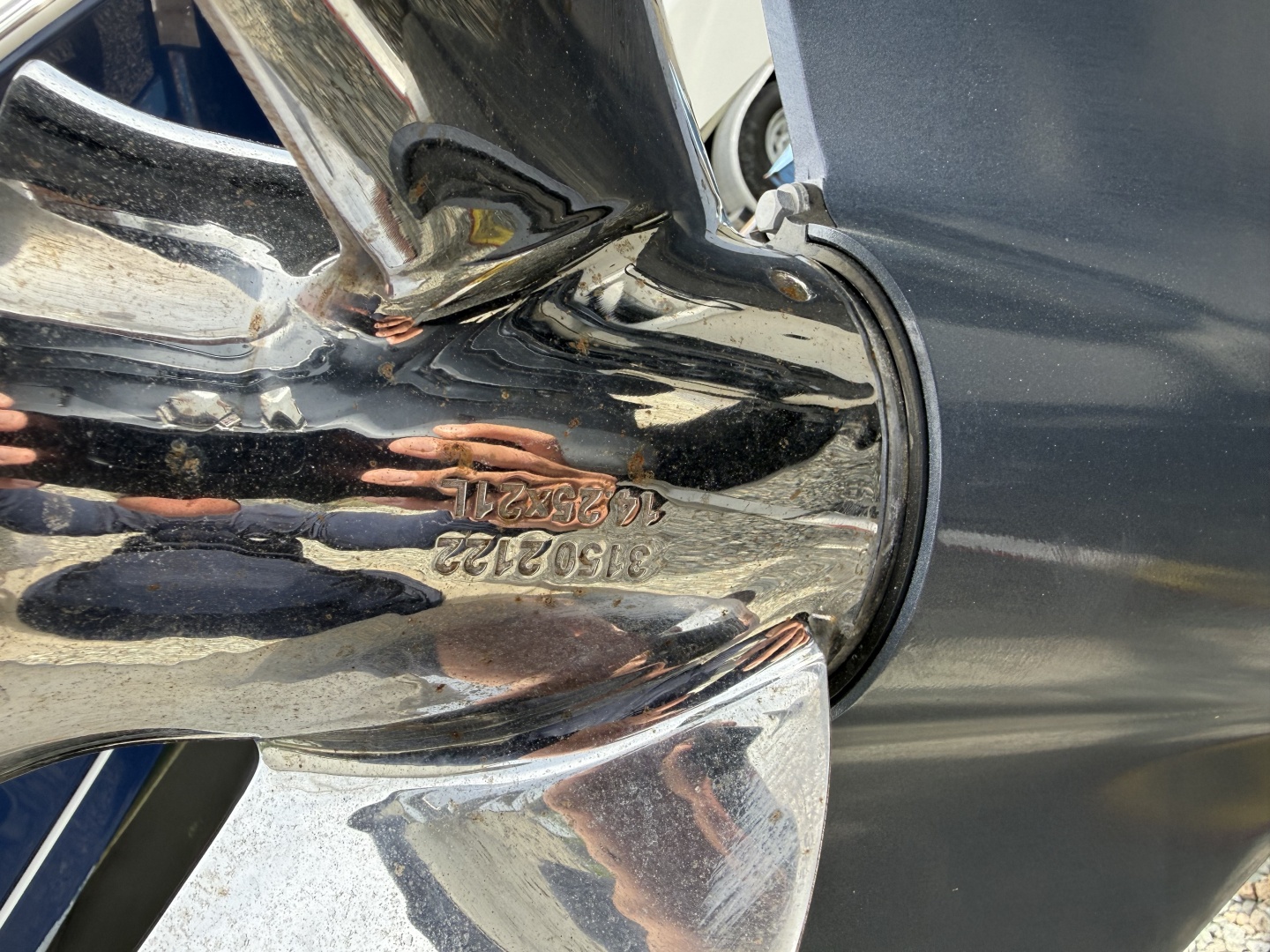 Zodiac-Medline 9 2024 -Mystic-Connecticut-United States-6262749 | Thumbnail