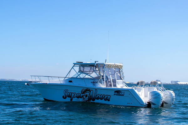 Sumerset-Houseboat 1993 -Charlestown-Massachusetts-United States-6518354