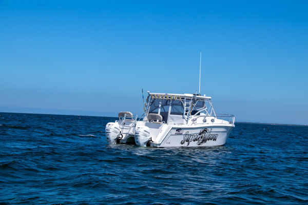 Sumerset-Houseboat 1993 -Charlestown-Massachusetts-United States-6518357