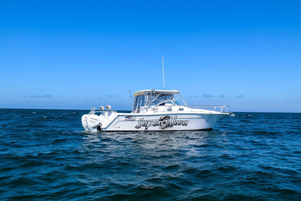 Sumerset-Houseboat 1993 -Charlestown-Massachusetts-United States-6518358